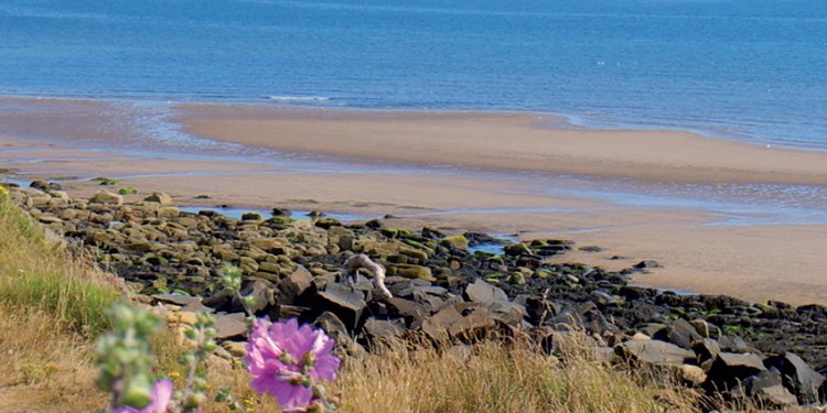 Sandy beach at Sandy Bay park