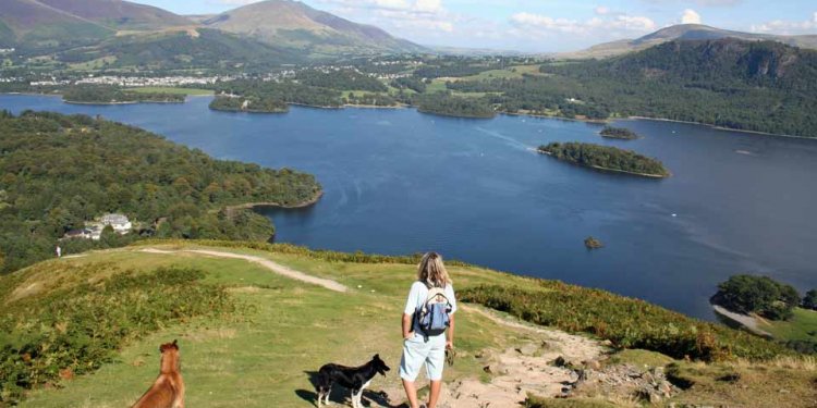 Larrys Lodge Keswick Bed and