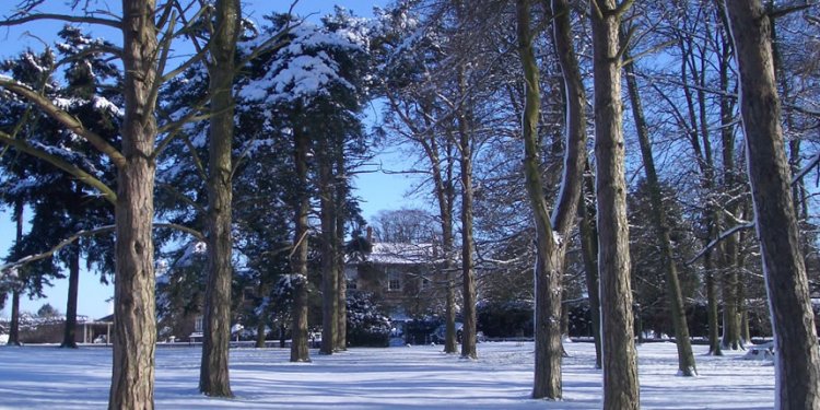 Wharton Lodge Cottages