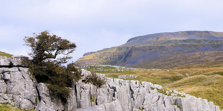 Looking from Crina Bottom to