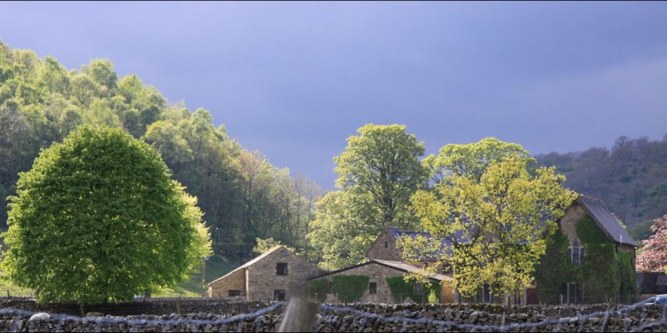 Yorkshire dales b