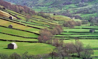 A typical dales landscape