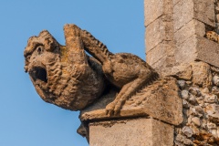 Gargoyle on St John's Church