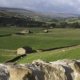 Cottages Askrigg England