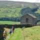 Walking in the Yorkshire Dales