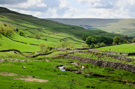 Swaledale, North Yorkshire