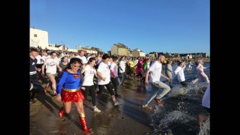 The dippers dash to the sea