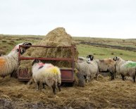 Accommodation in the Yorkshire Dales