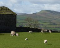 Bed and Breakfast Askrigg England