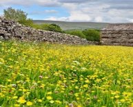 Holiday cottages in Yorkshire Dales National Park
