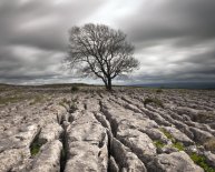 Walking in the Yorkshire Dales