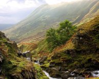 Yorkshire Dales National Park jobs