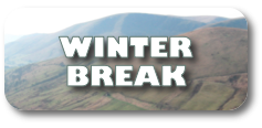 Winter Break Special