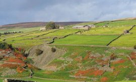 Yorkshire Dales National Park